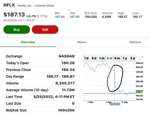 Can Gray Man save Netflix?