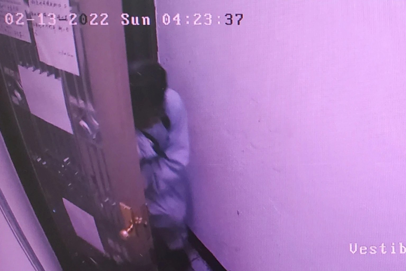 Woman butchered in her apartment