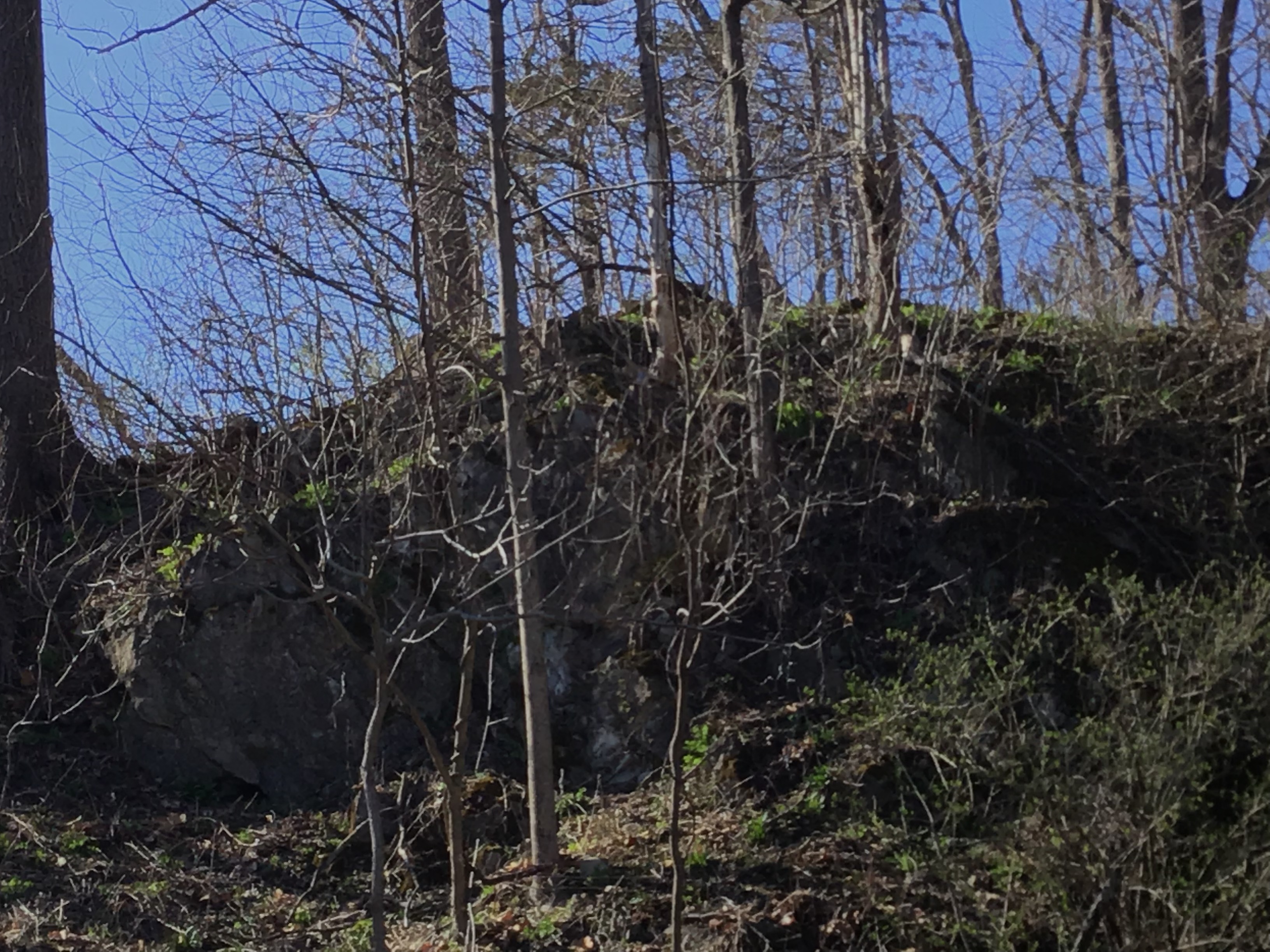 Surviving without support system