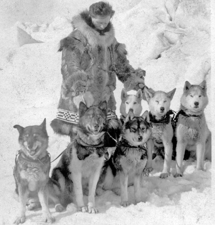 Hero sled dog Balto.