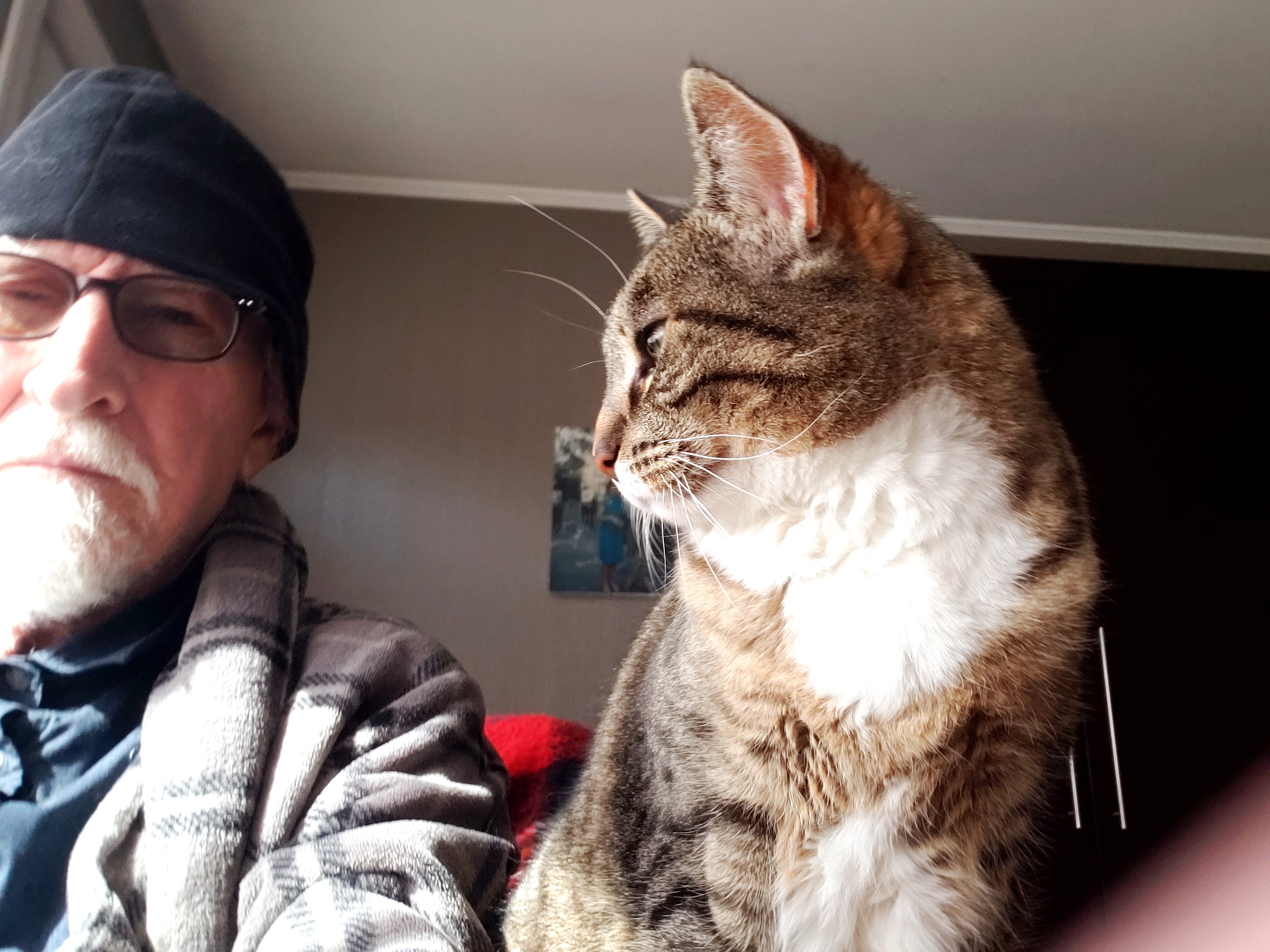 Pets save the lonely