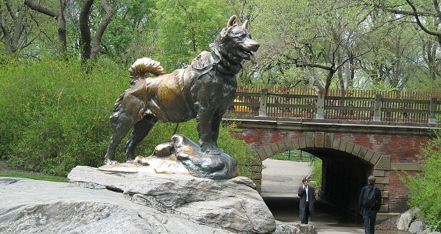 Statue of balto CENTRAL PARK NY