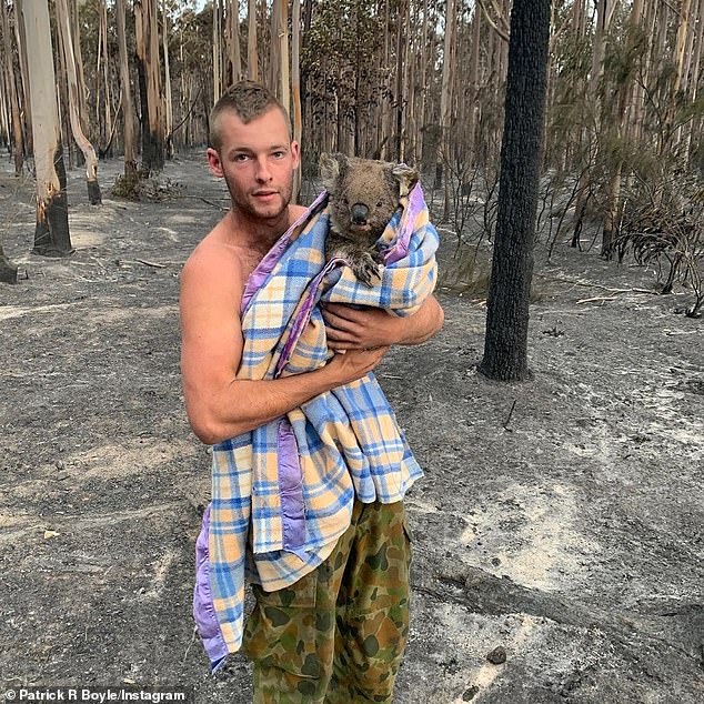 Saves Nine Koalas From Hellfire As Oz&nbsp;Burns!