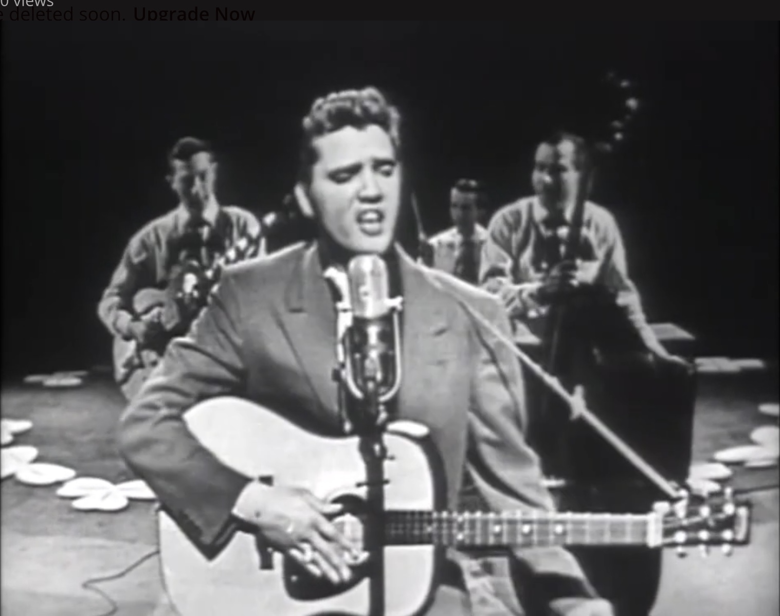 Heartbreak Hotel true story