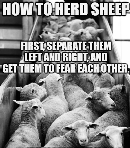 Vax segregation is here