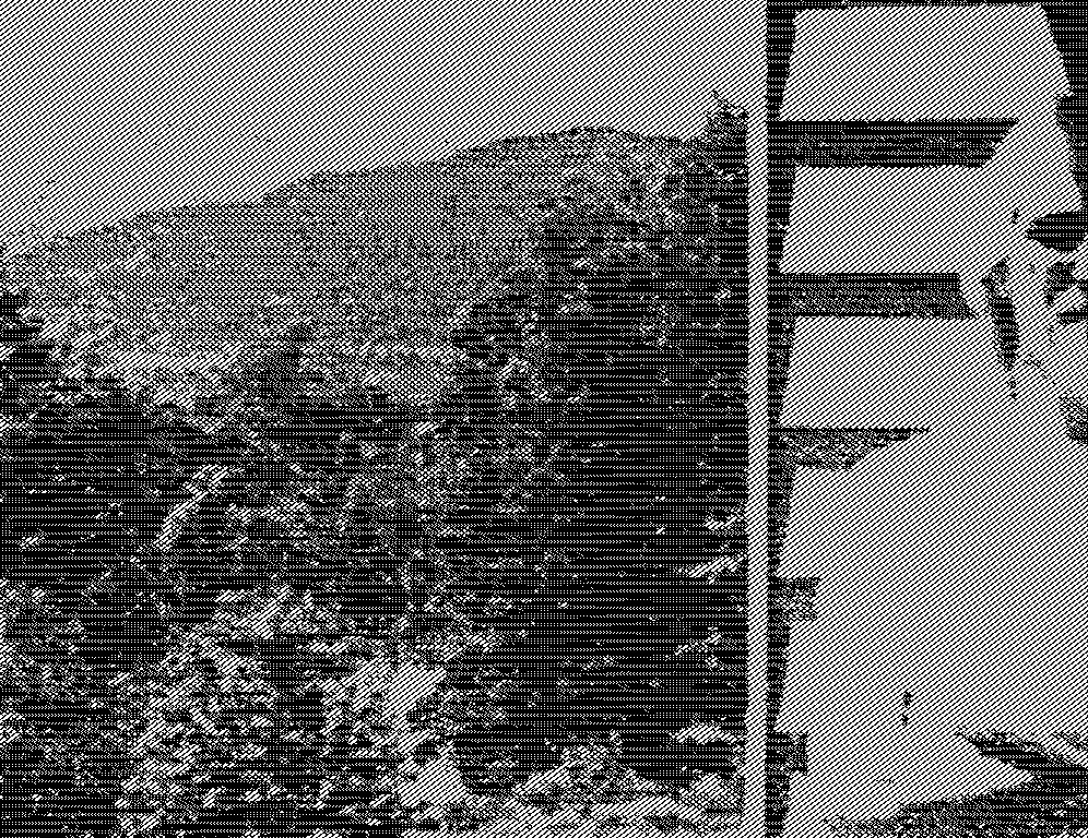 Hoping for a ghostly kick in the&nbsp;rear