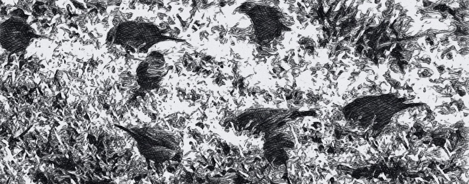 Gentle rain after the storm