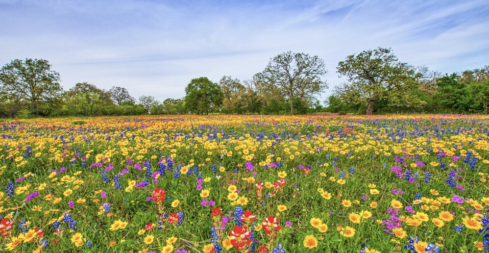 ‘Imagine there’s no&nbsp;heaven’