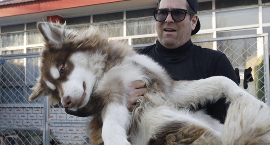 Saved from the&nbsp;slaughterhouse