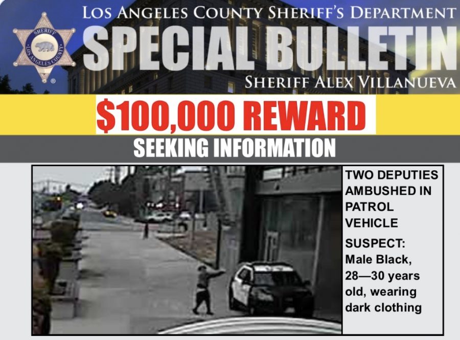 Black Lives Matter thugs