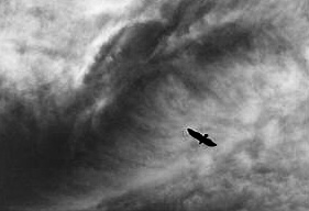 Genesis of the&nbsp;Jackdaw