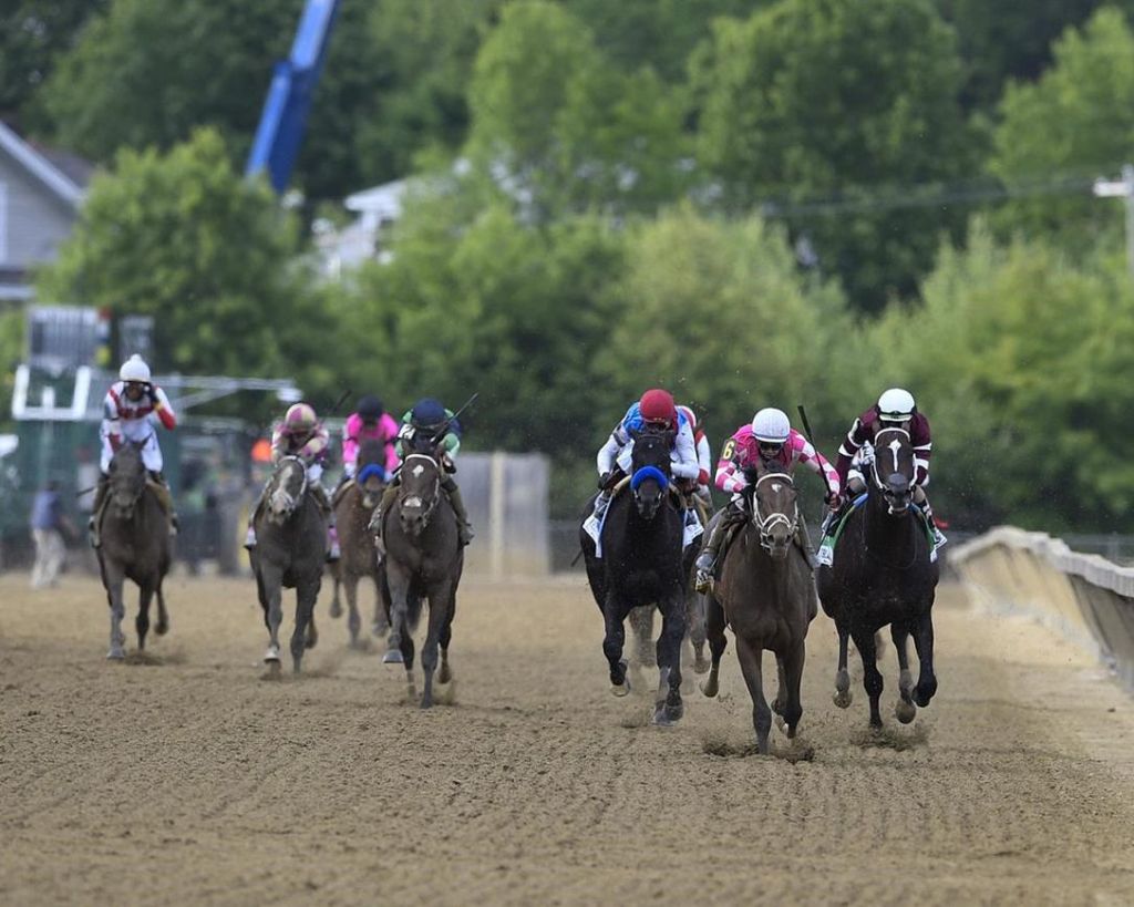 And down the stretch they&nbsp;come