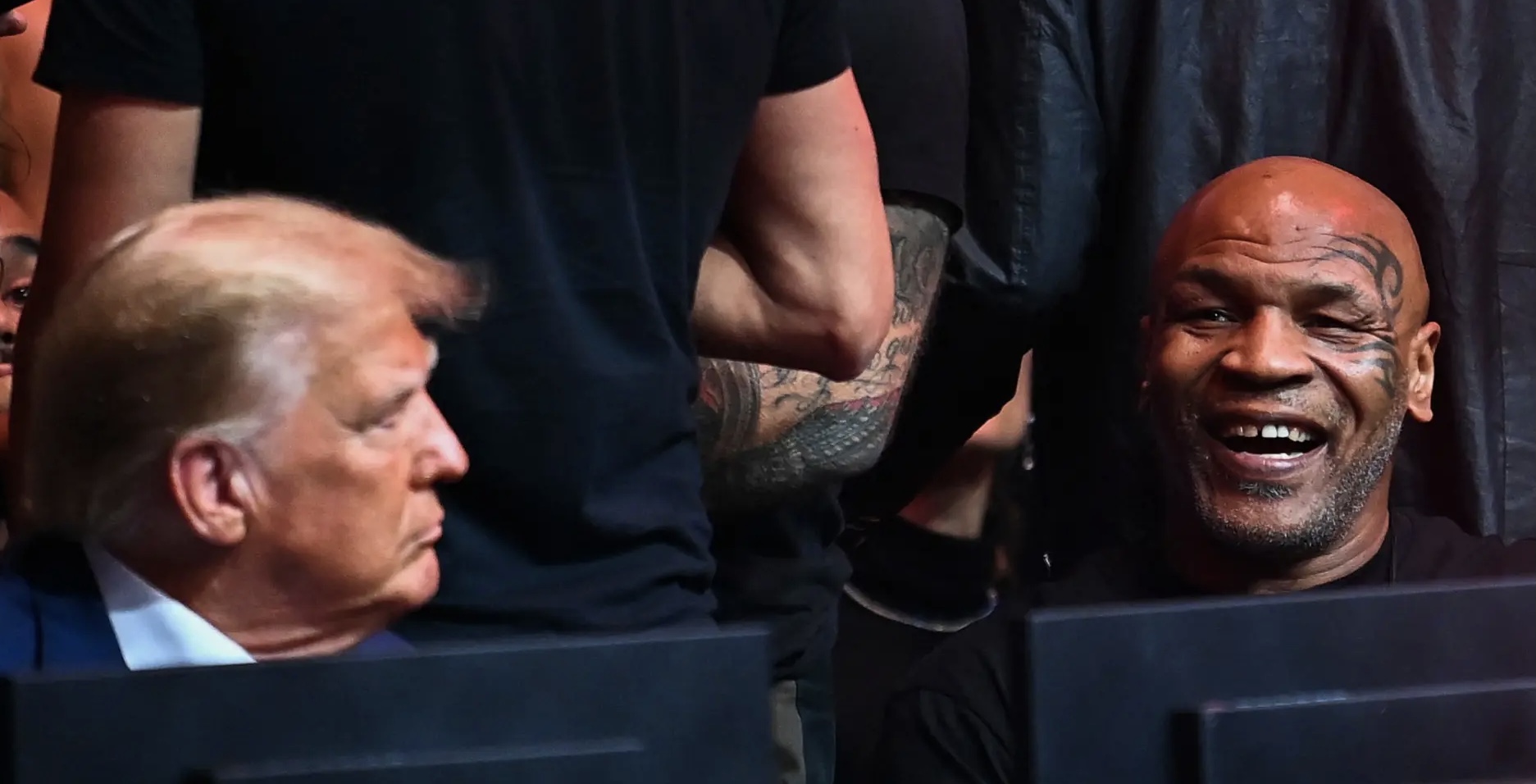 Trump loves a good fight