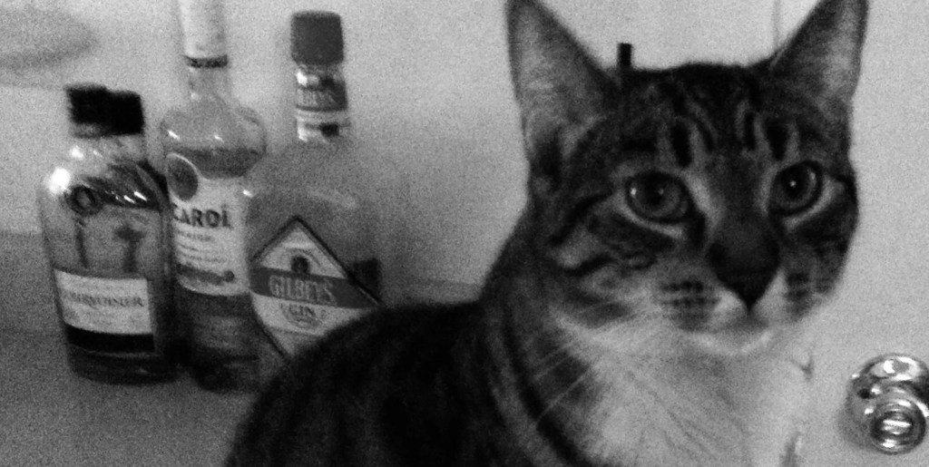 Screw the tonic&nbsp;water