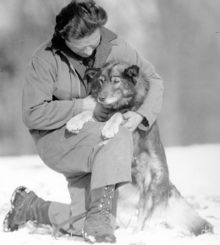 Hero sled dog Balto.