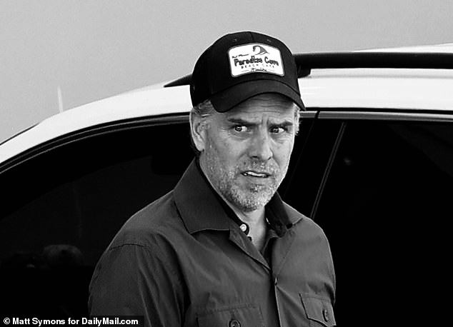 Hunter Biden faces 10 years