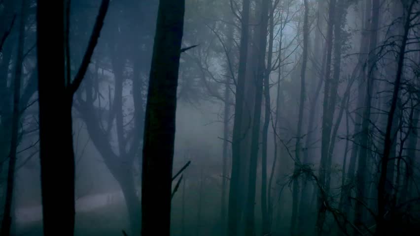 The loneliness of the God&nbsp;seeker