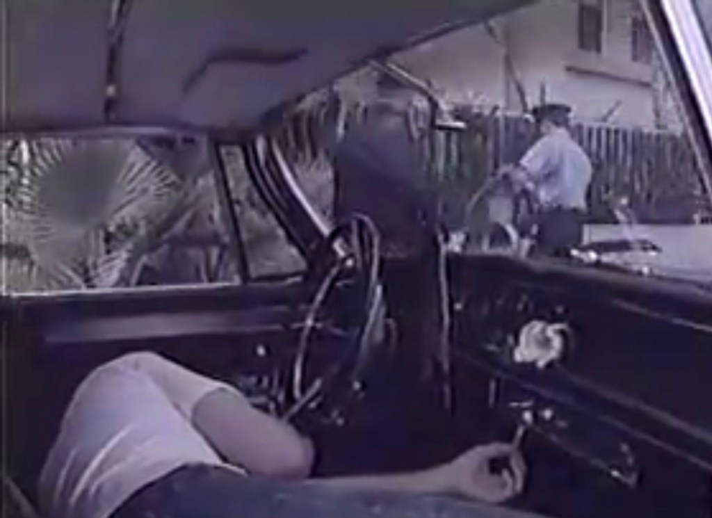 Bobby Fuller fought the mob, and the mob won