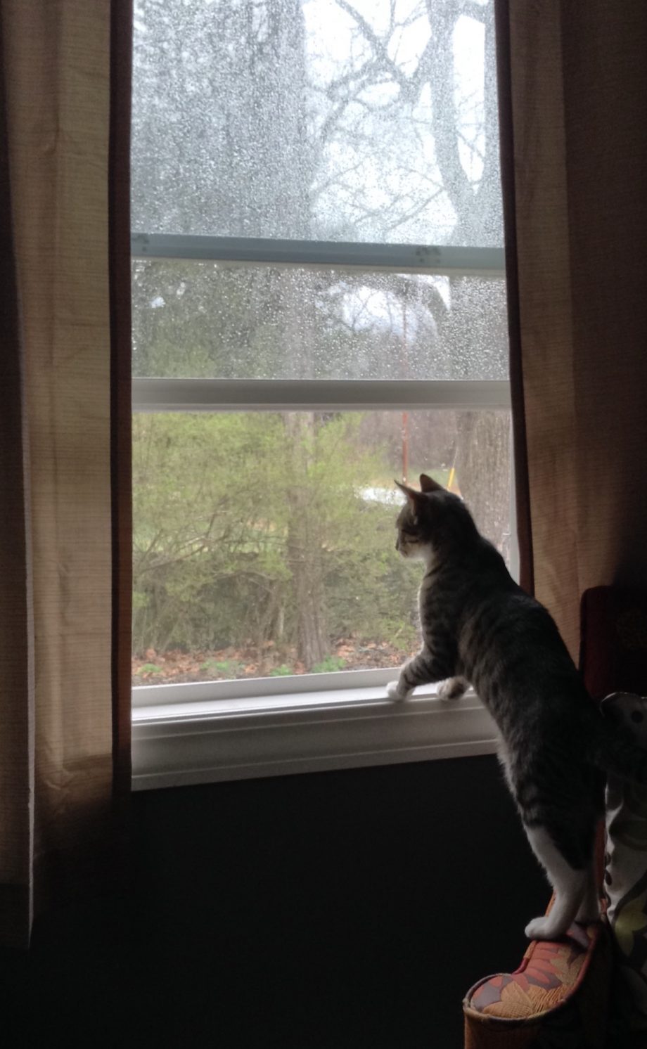 Peace returns to the&nbsp;valley