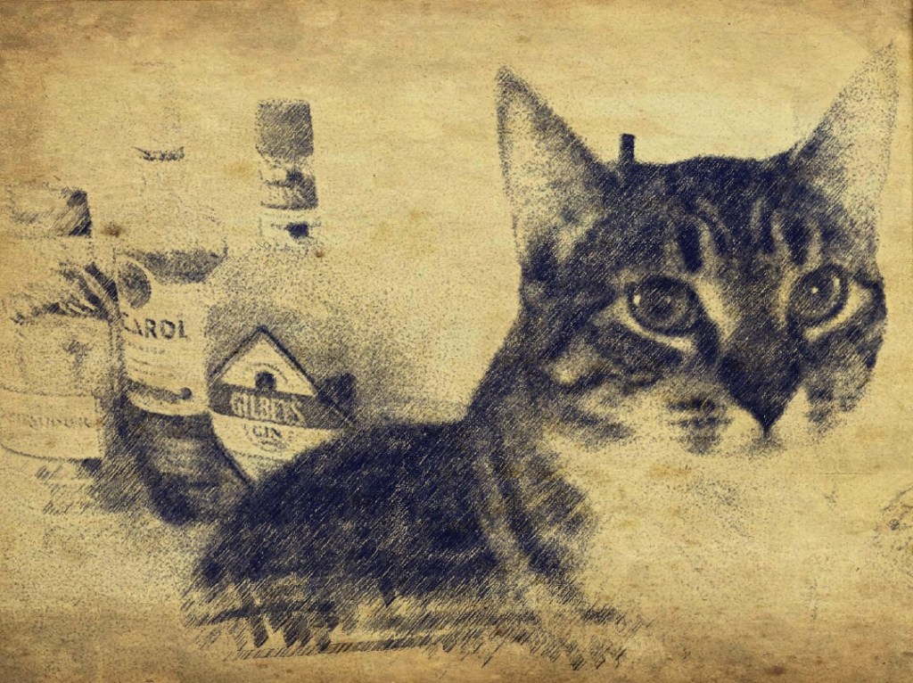 Conversation with my&nbsp;cat