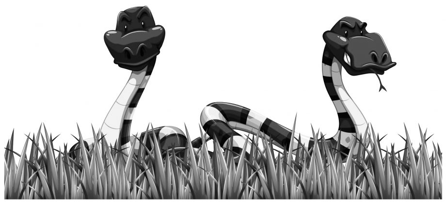 Snakes in grass deserve kick in&nbsp;ass