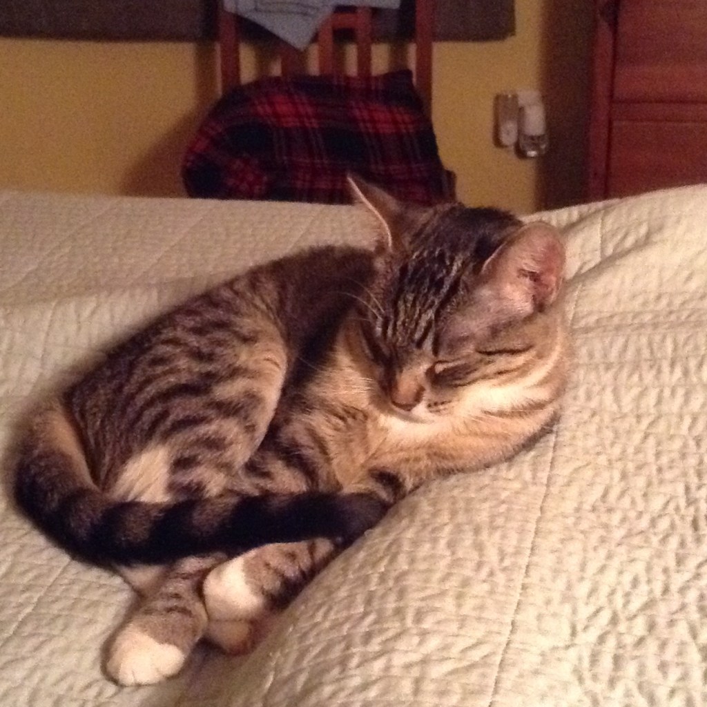 Cellmates for the abandoned