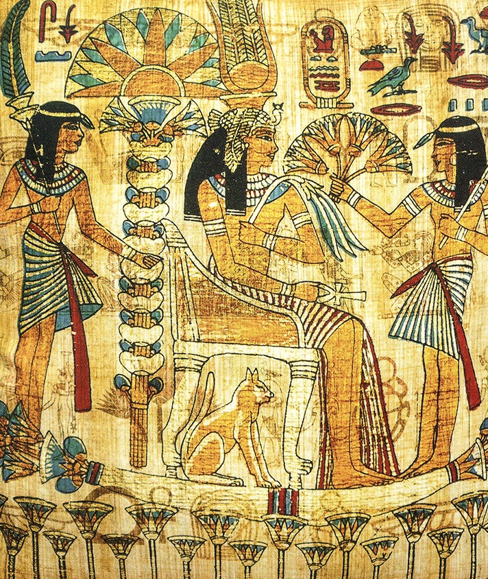 Companionship of a cat